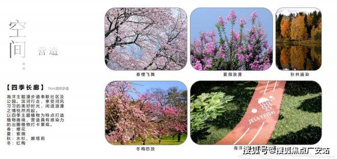 025楼盘评测_售楼处电话丨房价丨详情丨地址丨楼盘百科详情J9国际集团国贸虹桥璟上(国贸虹桥璟上售楼处)首页网站-2(图24)